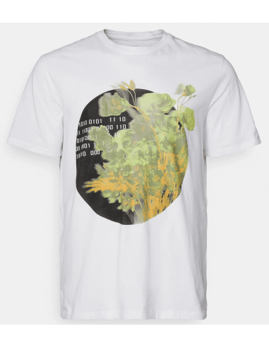 T-shirt Dalla 3XL alla 6XL
