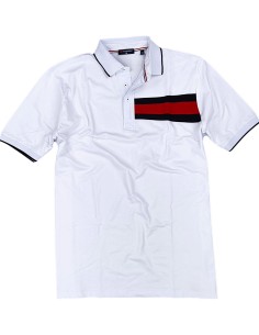 Polo 100% Cotone Dalla 3XL alla 8XL