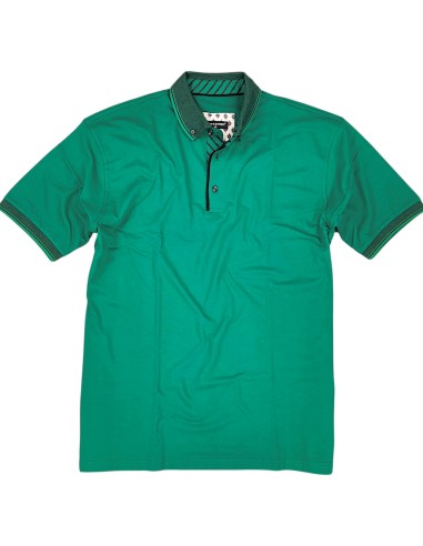 Polo 100% Cotone Dalla 3XL alla 8XL