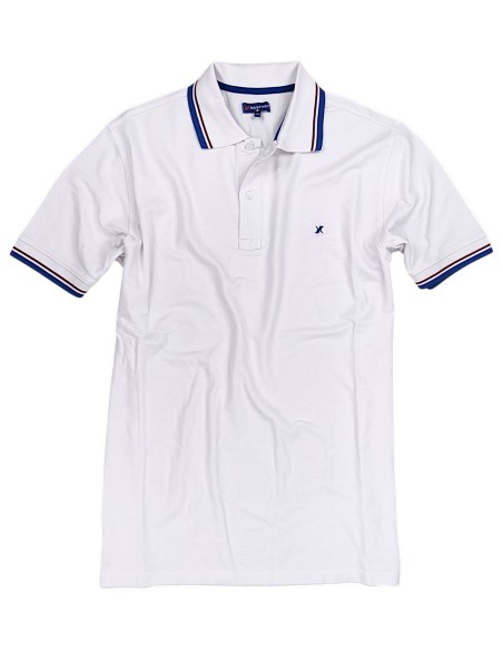 Polo 100% Cotone Dalla 3XL alla 10XL