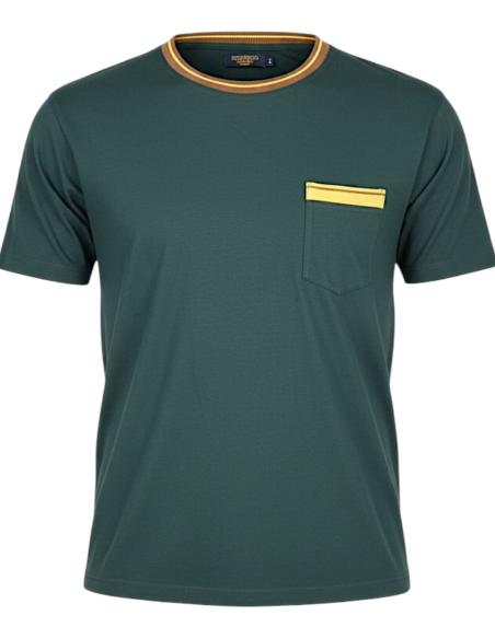 T-Shirt Puro Cotone Dalla 3XL alla 8XL