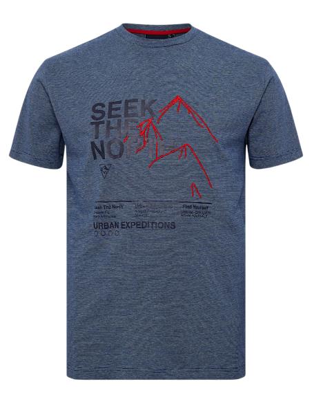 T-Shirt 100% Cotone Dalla 3XL alla 8XL