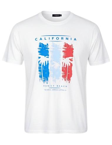T-Shirt Puro Cotone Dalla 3XL alla 10XL