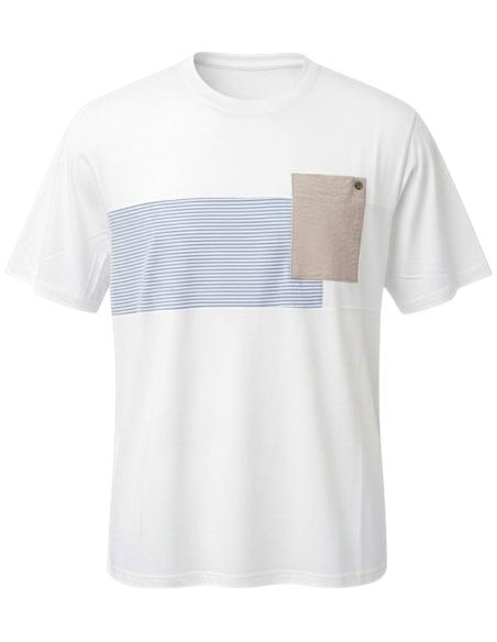 T-Shirt Puro Cotone Dalla 3XL alla 8XL